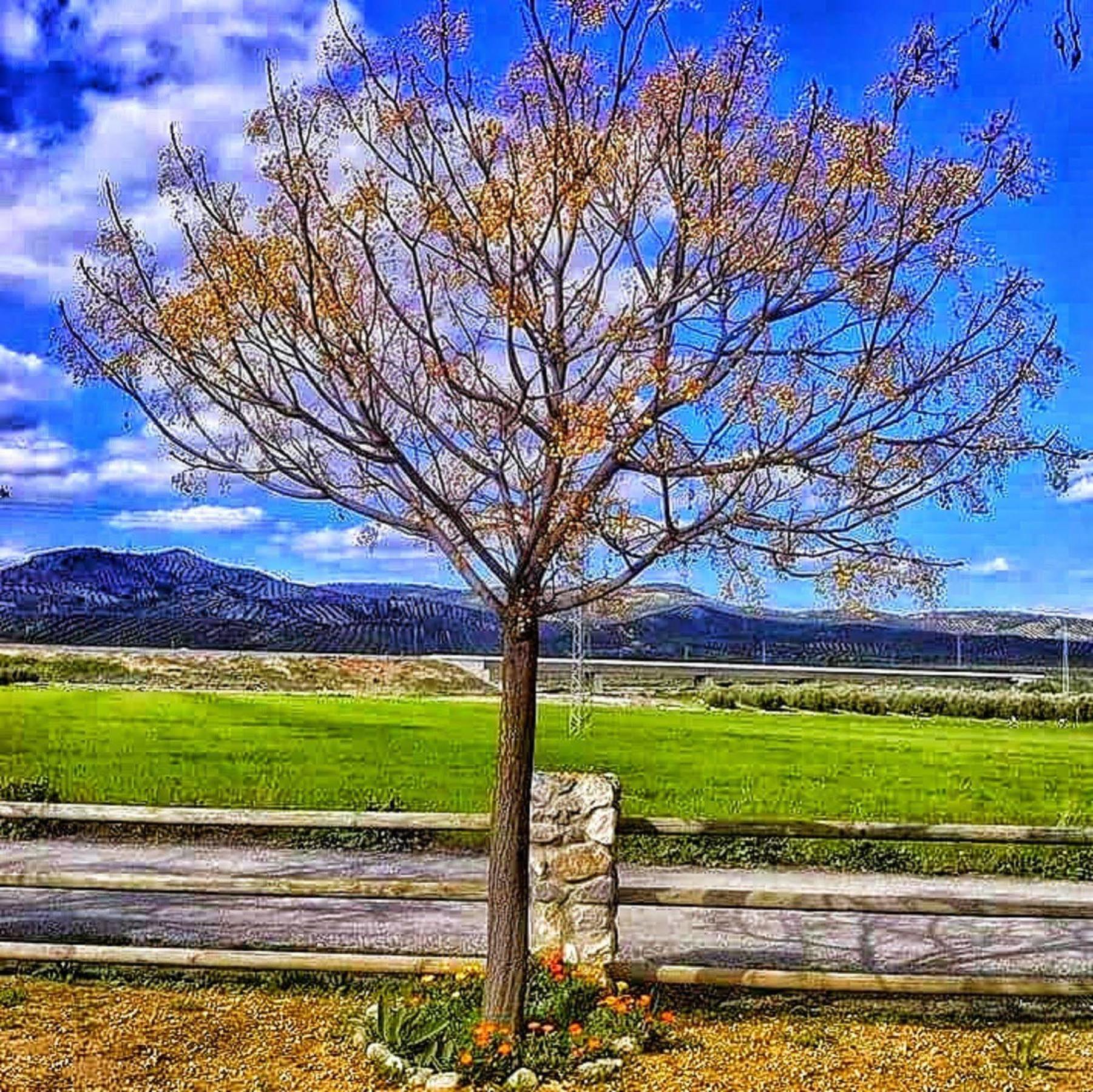 Alojamiento Rural El Cortijuelo Hotel Illora Bagian luar foto